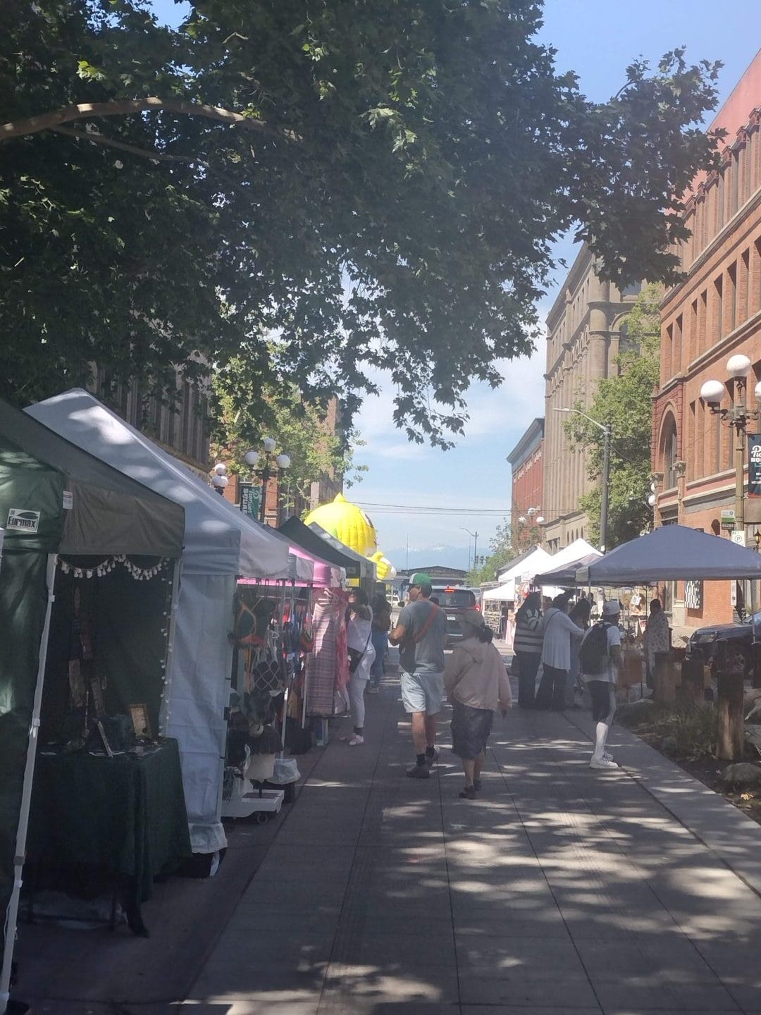 IMG_20250706_114623459_HDR