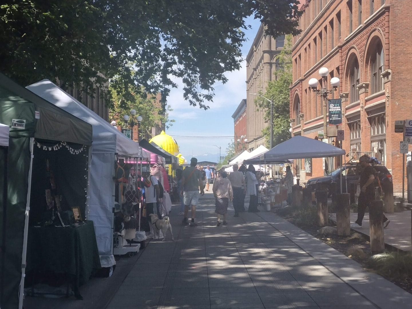 IMG_20250706_114652389_HDR